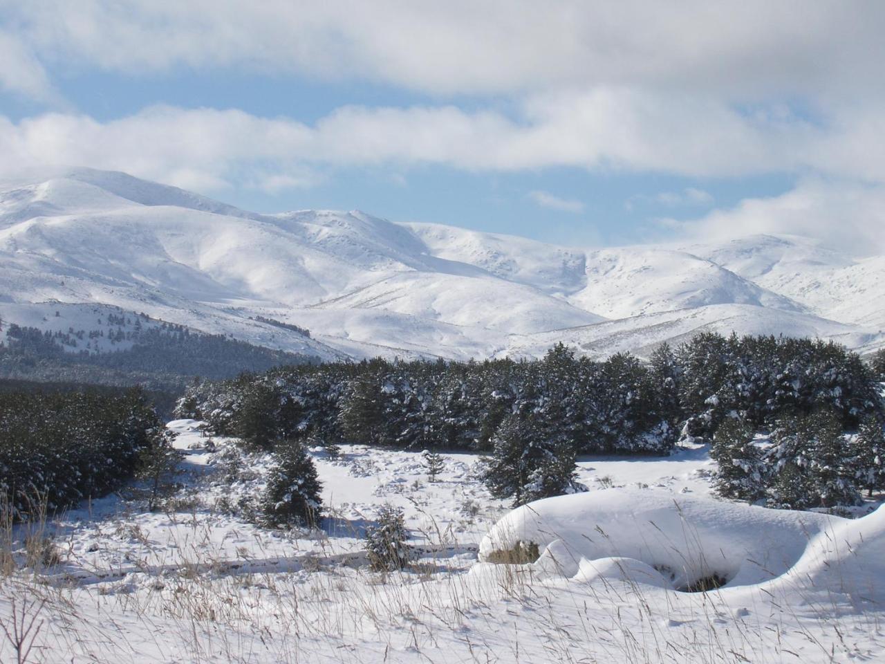 Villa Tinao De Gredos Barajas de Gredos Exterior foto